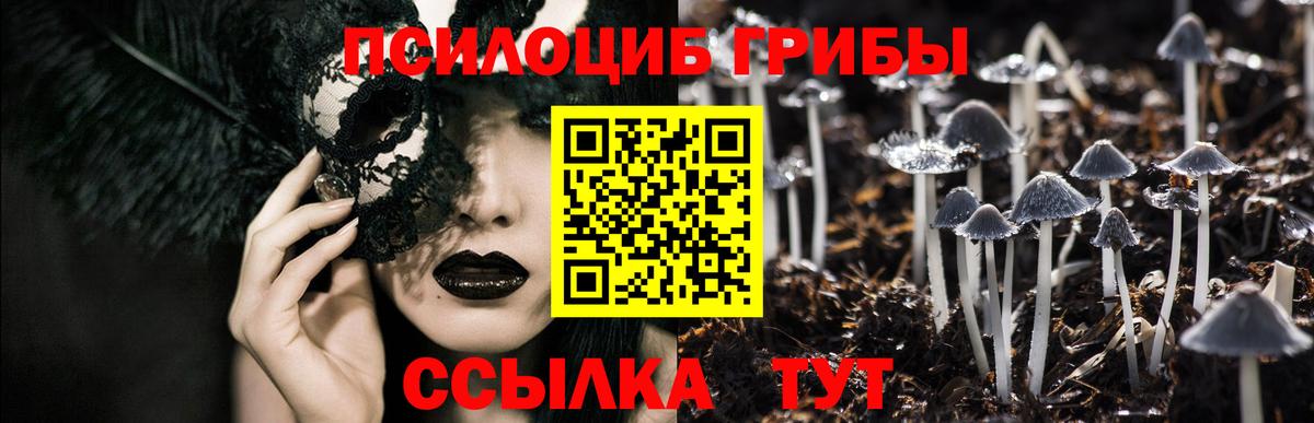 Галлюциногенные грибы Magic Shrooms  Вход с VPN  Буйнакск  Галлюциногенные грибы MAGIC MUSHROOMS 